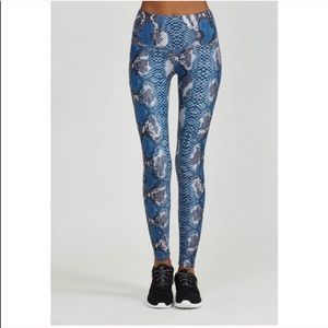 Noli Active Blue Python Snakeskin Leggings